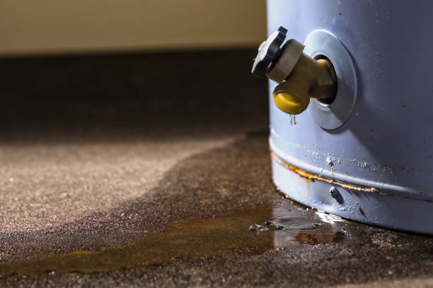  Somonauk, IL Water damage restoration Pros