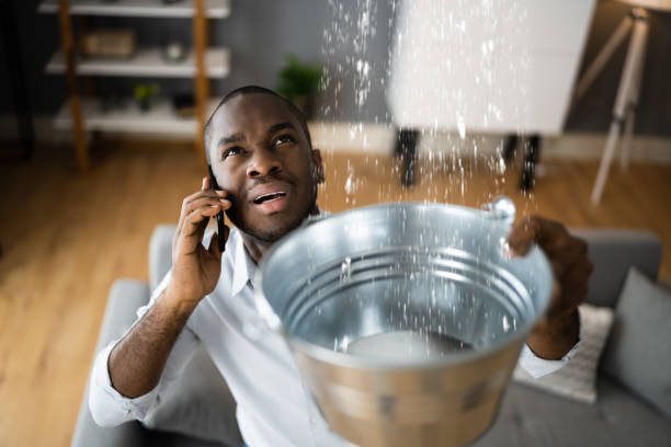 Best Water damage restoration near me  in Somonauk, IL