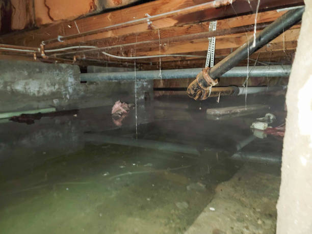 Best Water damage restoration near me  in Somonauk, IL