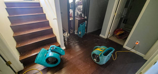 Best Commercial water damage restoration  in Somonauk, IL