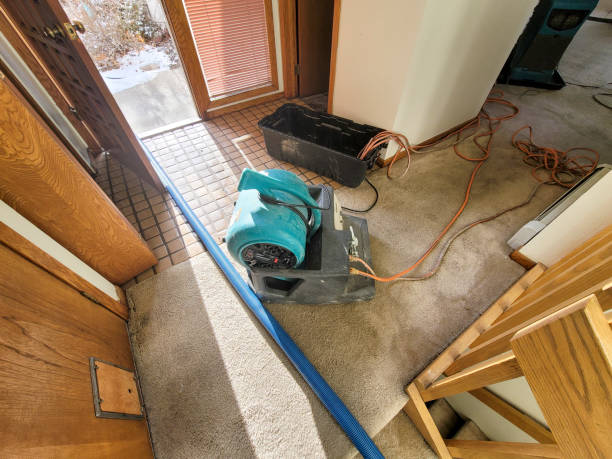 Best Water damage restoration services  in Somonauk, IL