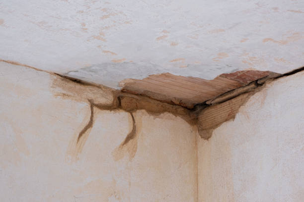 Best Flood restoration services  in Somonauk, IL