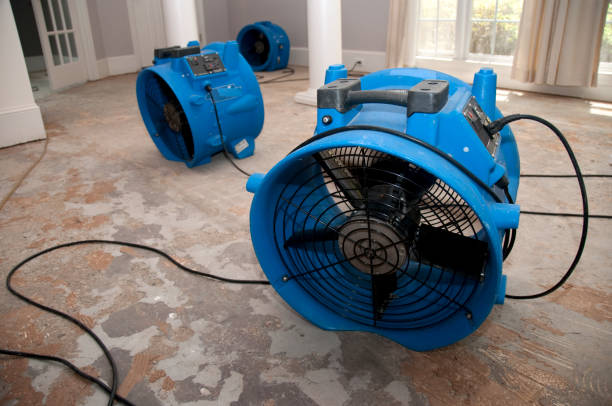 Best Water damage mitigation services  in Somonauk, IL