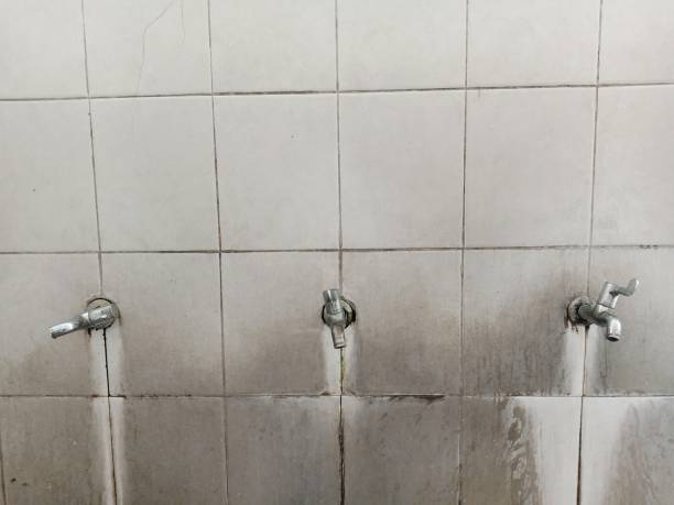 Best Water damage repair service  in Somonauk, IL