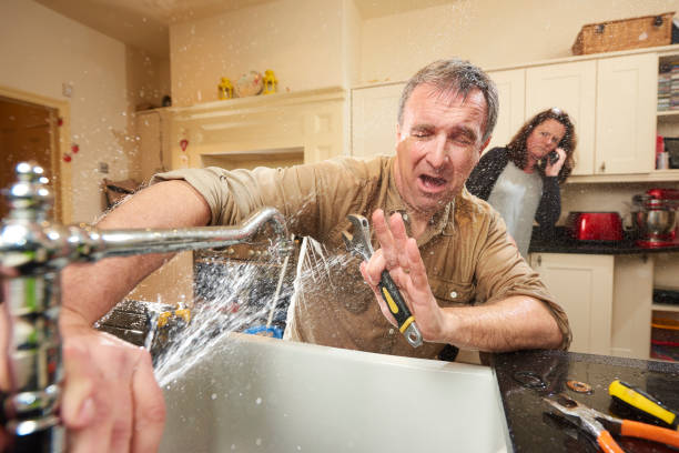 Best Residential water damage restoration  in Somonauk, IL